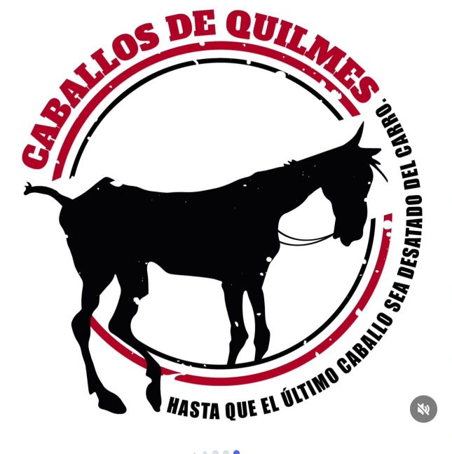 Hospital Equino de Quilmes - ONG Caballos de Quilmes